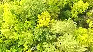 Passionate Facefuck With Huge Cumshot