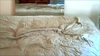 Step daddy Pumping The Neighbours Boy