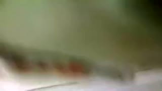 Discipline 4 Twinks - Marian