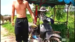 Sunntx Jerk Off Break Farmer