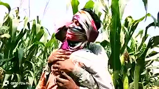 Indian Threesome Gay - A Farm Laborer And A Farmer Who Employs The Laborer Have Sex In A Corn Field - Gay Movie In Hindi Voice