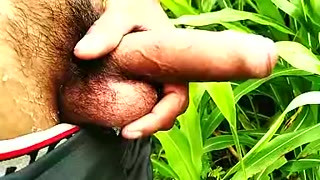 Outdoor Handjob And Cumshot On Grass