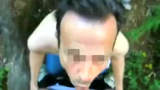 Amateur cruising in the woods IV