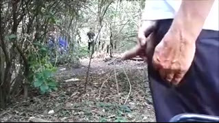 crusing in the forest