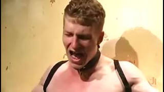 Bondage Ass Stretched On The Bad Dragon Dildo With Branden Forrest And Van Darkholme