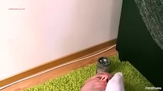 Young masters the job application