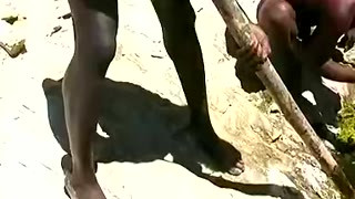 Savage and Majestic Vol 1 - AT THE BEACH