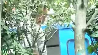 Chinese guys pissing in public 2