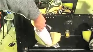 UA tickle boy toy returns