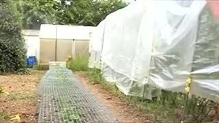 man boy slave dildo garden arrosage arrosoir anal