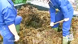 Pigprod - farmer skinhead pig boys